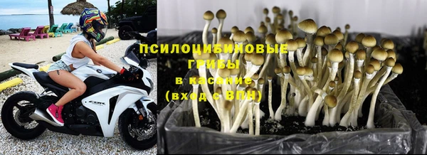 хмурый Саяногорск