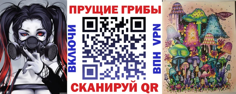 Галлюциногенные грибы прущие грибы  Кораблино 